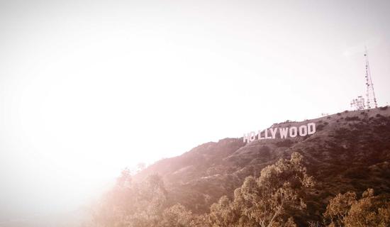 Veterinary Clinic - Denver