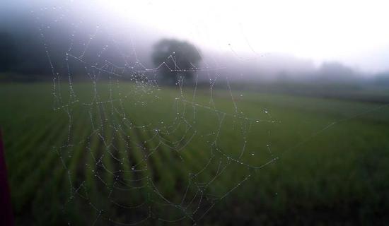 Theater - New Orleans