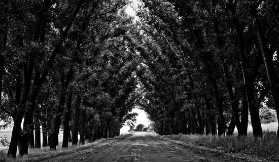 Storage Facility - Amsterdam