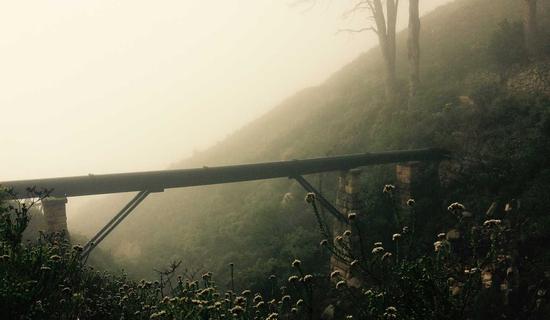 Rooftop Garden Restaurant - Los Angles