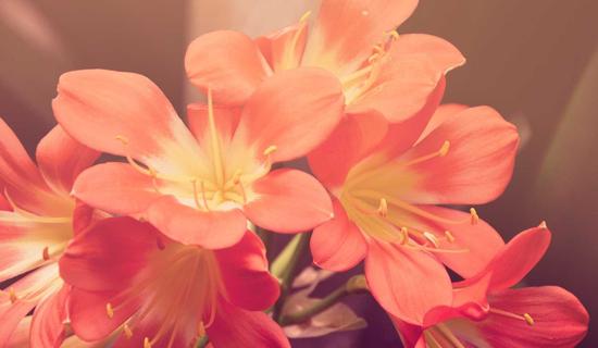 Pilates Studio - Berlin