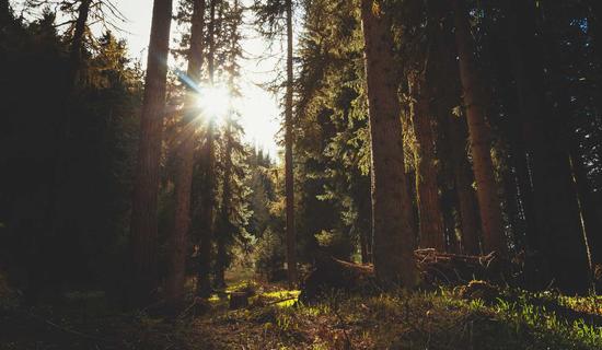 Pilates Studio - Dubai